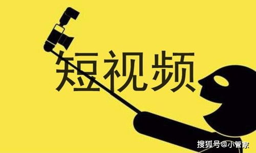 KD視商 年度黑馬重磅上線，開啟站內(nèi)推廣新紀(jì)元