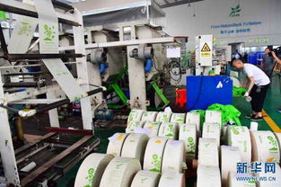 守護地球，從“塑”到“素”——南樂站內推廣可降解塑料制品行動